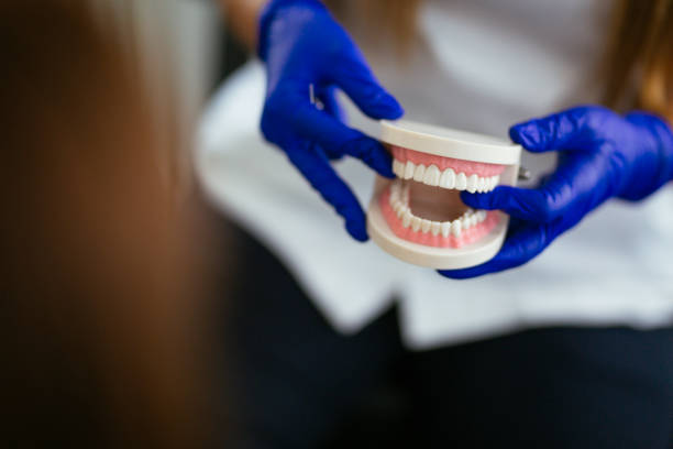  The Homesteads, TX Holistic Dental Services Pros